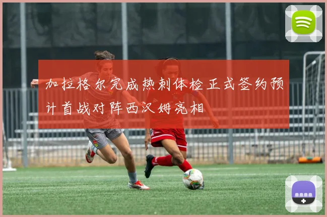 加拉格尔完成热刺体检正式签约预计首战对阵西汉姆亮相