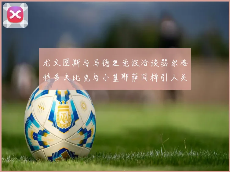 尤文图斯与马德里竞技洽谈瑟尔洛特多夫比克与小基耶萨同样引人关注