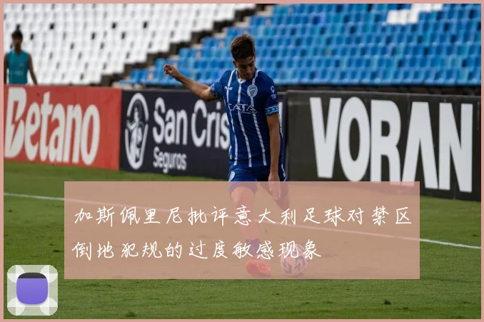 加斯佩里尼批评意大利足球对禁区倒地犯规的过度敏感现象