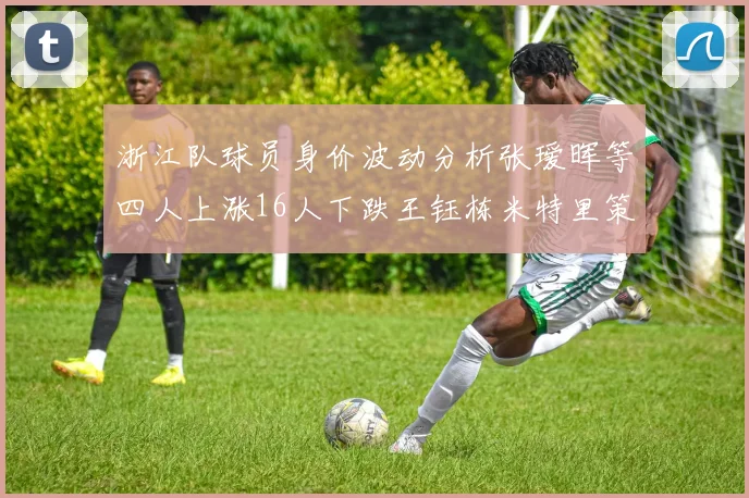 浙江队球员身价波动分析张瑷晖等四人上涨16人下跌王钰栋米特里策保持不变