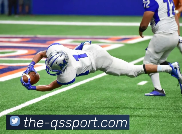 球速体育平台生态图